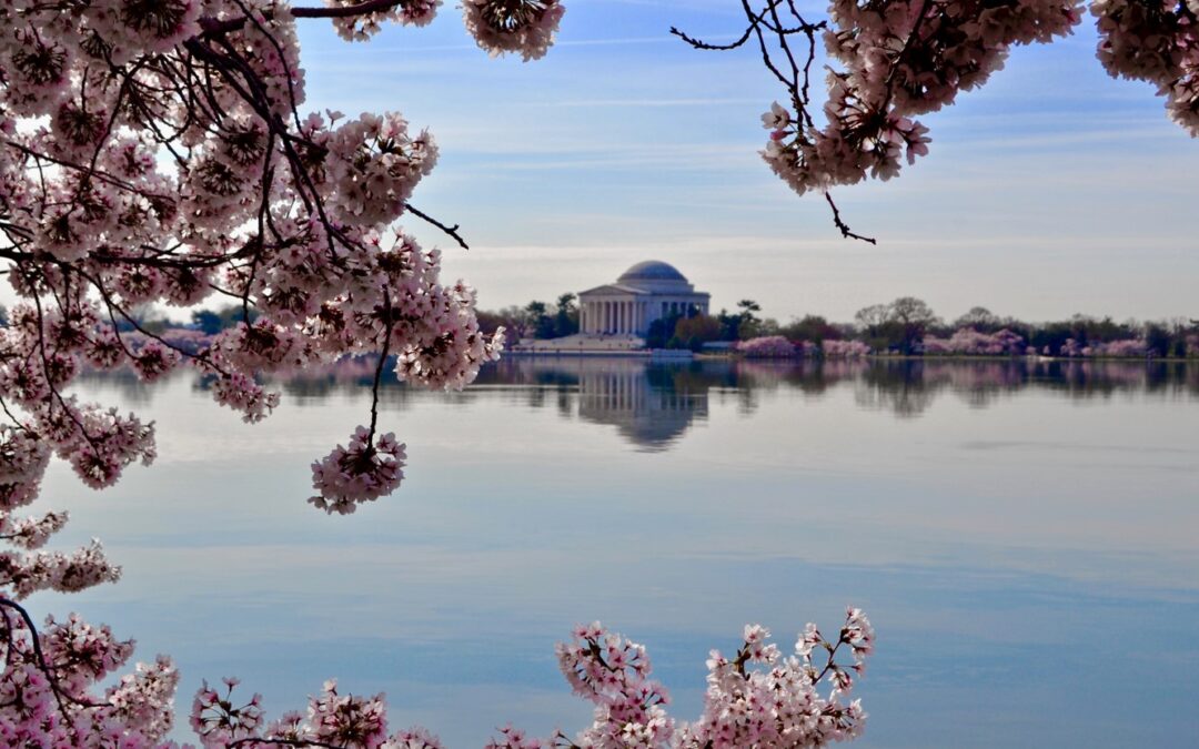 WBD Message to Federal Counterparts, Partners, & Friends in the Age of COVID